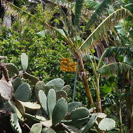 La Casita Del Jardinero Los Llanos De Aridane Exterior foto